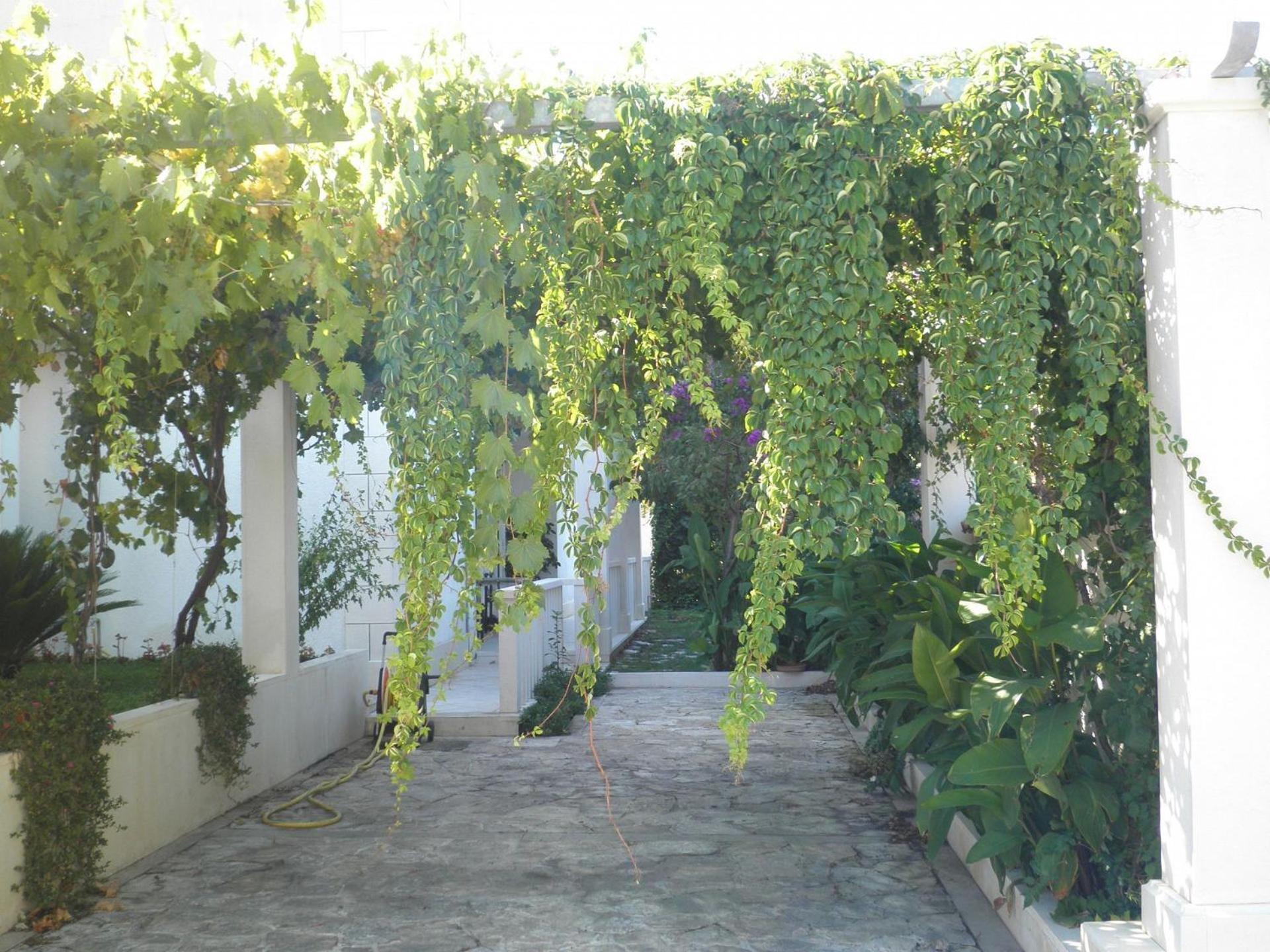 סופטאר Apartment Aldica מראה חיצוני תמונה